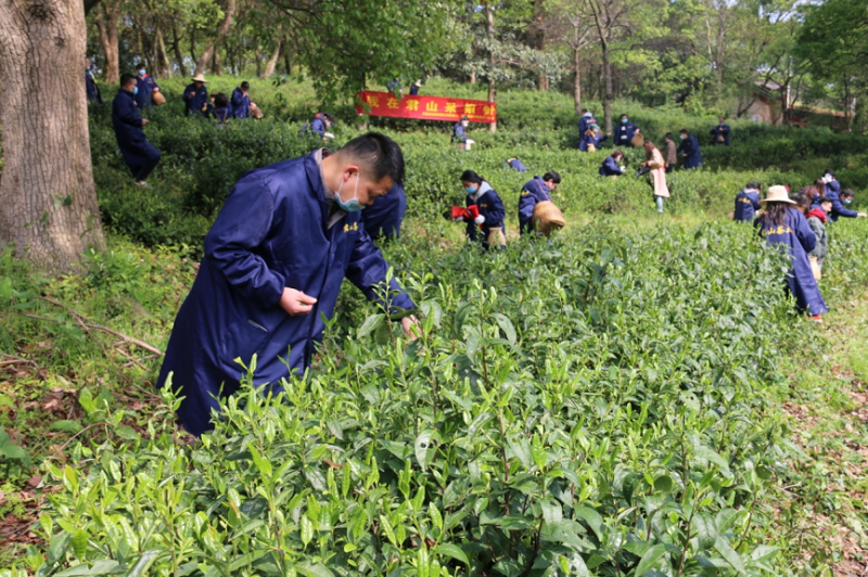 圖片 1_2.png 圖片 1_2.png